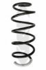 SPIDAN 86829 Coil Spring